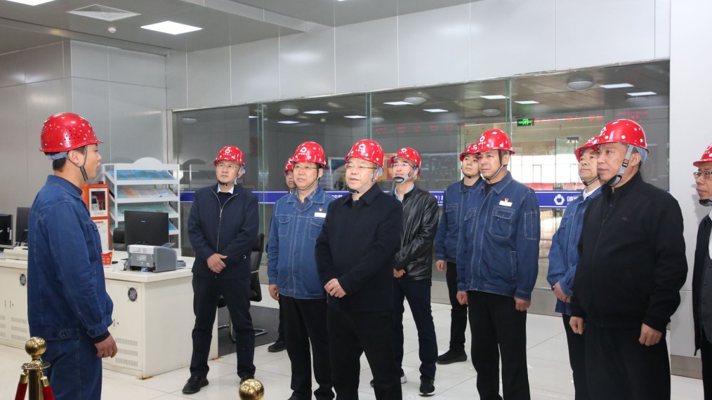 謝曉鋒到集團(tuán)公司電力化工企業(yè)調(diào)研